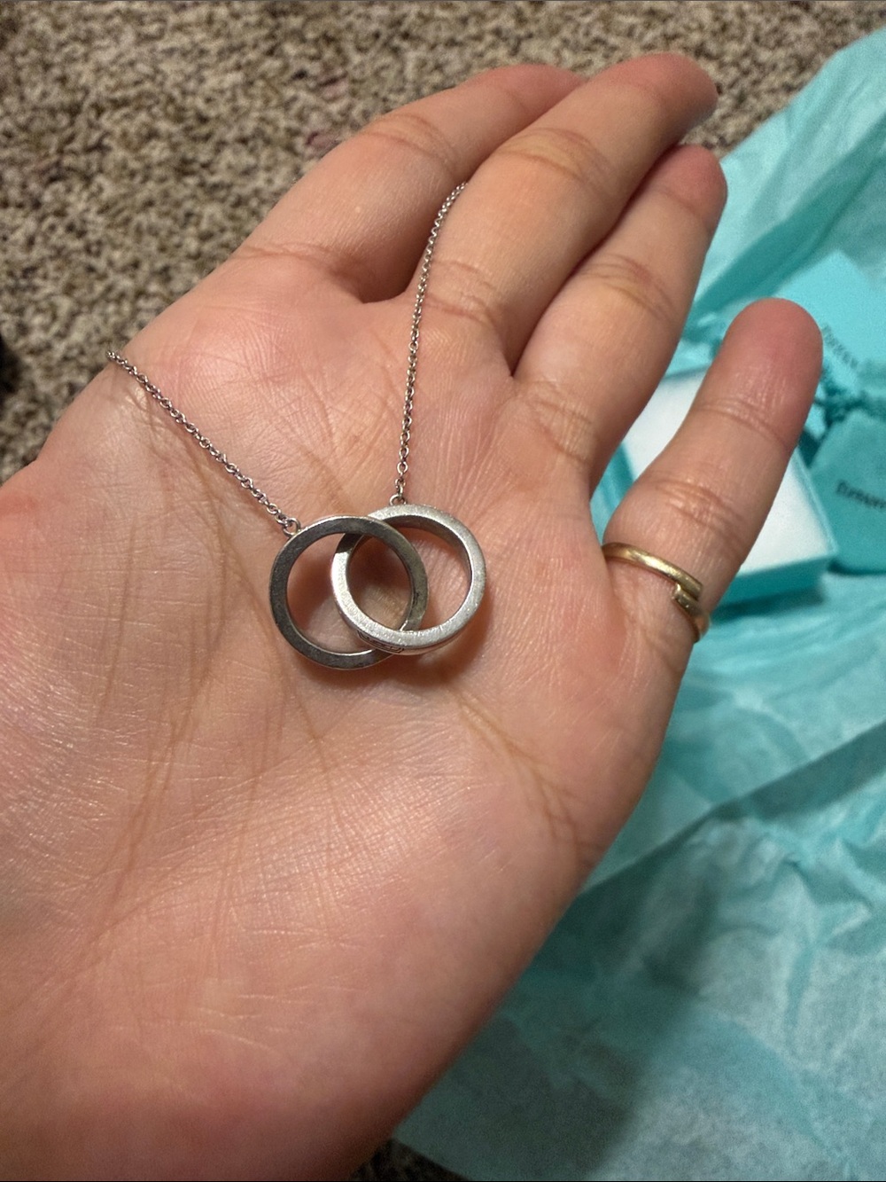 Tiffany &Co Sterling Silver Interlocking Circle Necklace - Silver